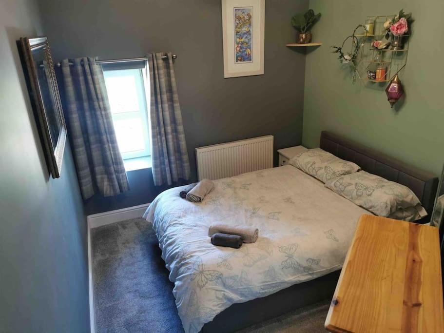 Appartement Number 7 Torquay Stunning Sea Views Extérieur photo